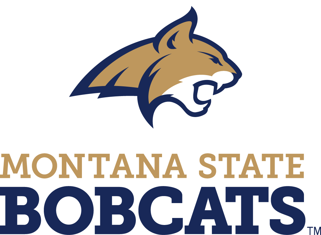 Montana State Bobcats 2013-Pres Alternate Logo 01 iron on paper